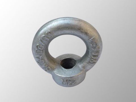 點(diǎn)擊查看詳細(xì)信息<br>標(biāo)題：吊環(huán)螺母 閱讀次數(shù)：2470